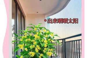 四季桂的浇水技巧（以四季桂四季怎么浇水为主题，探究浇水的时间、频率和方法）
