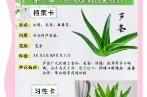 芦荟根部腐烂的原因及应对方法（芦荟根部腐烂的危害与防治措施）