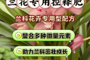 兰花的施肥与养护技巧（打造娇艳芬芳的兰花园）