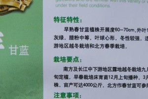 甘蓝种子育苗技巧（快速出苗，成功育苗的方法）