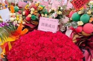 如何有效处理因暴晒而枯萎的玫瑰（保护、修复和预防玫瑰在高温下受损的关键方法）