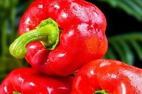 红甜椒可以生吃吗？（解密红甜椒的食用方法及注意事项）