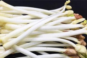 生花生能否食用？（探究花生生芽的营养与安全）