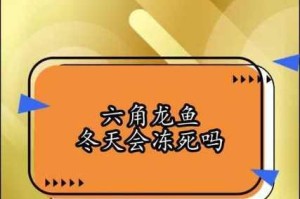 燕子掌能否在冬天安然无恙？（科学家的探究和生存技巧）