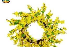 怎样补救迎春花叶子发蔫？（掌握这些方法，让你的迎春花常青常活）