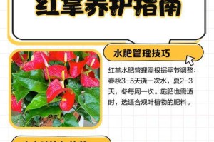 红掌叶子蔫了怎么办？教你拯救植物健康（15个简单方法，让你的红掌恢复生机）