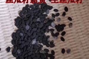 如何快速催芽丝瓜种子（最有效的催芽方法与注意事项）
