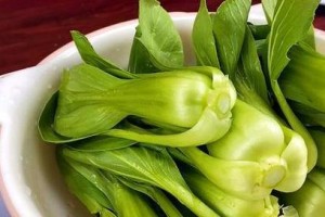 春天适合种什么菜？（打造你的春季菜园，掌握这些菜谱）
