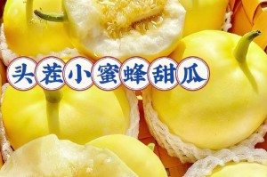 以香瓜怎么饲养（从种子到成熟，全面了解香瓜的种植技巧）