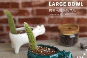 选择合适的盆种绿萝，让家居更有生机（绿萝栽培小窍门，让您的盆栽更健康）