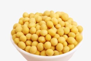 黄豆与禁忌食物（一起吃会影响身体健康，注意别犯错）