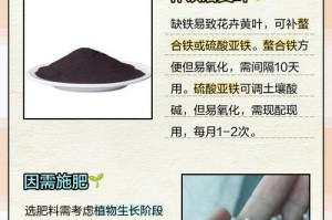 花卉新叶发黄的原因及应对方法（探寻花卉新叶发黄的根源，提供有效的解决方案）