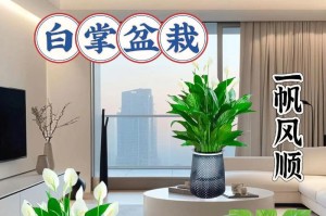 白掌的危害与防范（了解白掌，守护健康）