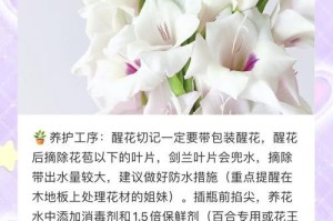 剑兰的水培养殖指南（掌握剑兰水培的关键技巧，轻松打造花香四溢的家居花园）