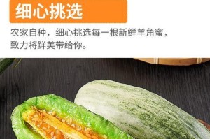 如何挑选新鲜美味的蜜瓜（科学的选购技巧让你轻松买到好吃的蜜瓜）
