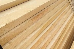 探秘春木之谜（春木的特性、用途及保护）