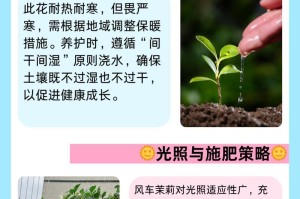 风车茉莉最适合种植的土壤类型（探究风车茉莉的土壤喜好与栽培技巧）