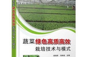 大棚蔬菜种植技术与管理（提高产量、保障品质的有效途径）