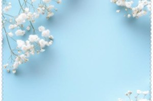 满天星之美（掌握摘花技巧，让满天星绽放迷人之美）