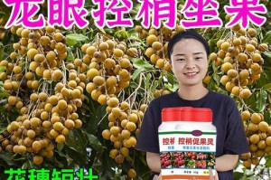 荔枝催花全攻略（掌握催花时间和方法，让荔枝提前开花）