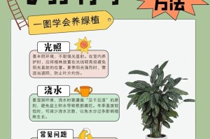 白竹芋养护指南（打造绿意盎然的室内风景——白竹芋养殖技巧）