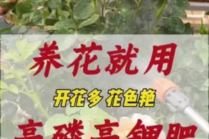 制作花的肥料的方法与技巧（自制花肥的简单又环保的方法）