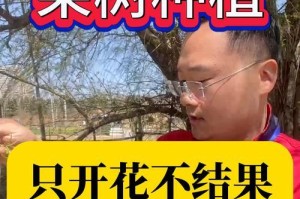 百香果不开花的原因（探究百香果不开花的缘由以及解决方法）