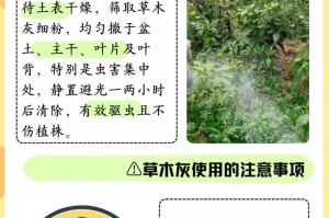 利用柴火灰，打造花园之美（种植多彩花卉与滋养土壤的天然肥料）