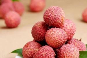 荔枝开花结果时间（了解荔枝生长规律，掌握开花结果时间）