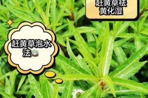花草发黄的原因及治疗方法（解析花草发黄的根本问题，教你恢复花草的翠绿生机）