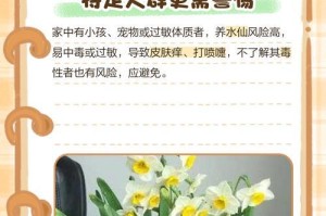 水仙花的栽培与毒性详解（家中如何安全养殖水仙花？）
