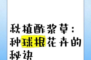 炸浆草栽种指南（学会正确的种植方法，打造美丽花坛）