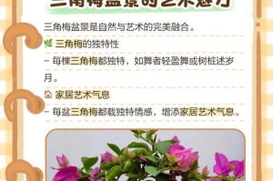 修剪三角梅盆景的技巧与方法（打造精美三角梅盆景，修剪关键步骤详解）