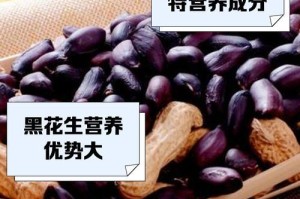 黑花生种植时间详解（最佳时间、种植要点、收获期、品质与产量）