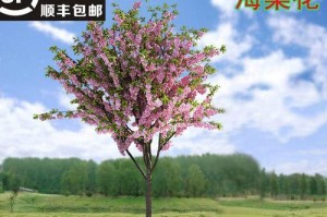 海棠（揭开海棠身份之谜，让你彻底认识这位美丽的“仙女”）