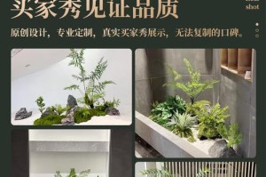 花盆里长青苔的养殖技巧（掌握关键技巧，让花盆焕发生机）