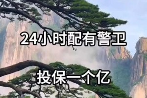 以摇钱树用松树怎么养（松树养护技巧一网打尽）