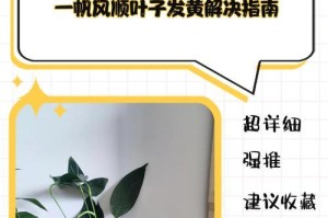 以一帆风顺花叶子烂——幸运和不幸之间微妙的转变（从顺风顺水到逆境烂漫，人生如此脆弱而坚韧）