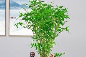 象征节节高升的植物（从菊花到银杏，这些植物让你攀升人生巅峰）