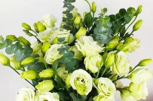 花束养护指南（学会正确的水养方式，让鲜花更加持久）