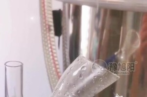 薰衣草籽的提取方法及用途研究