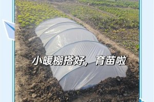 黄瓜种子发芽时间及影响因素研究（从温度、湿度、土壤、光照等方面探究黄瓜种子发芽时间）