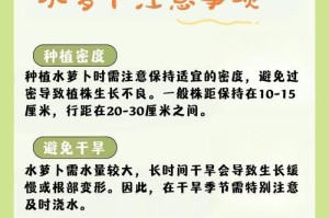 以娃娃萝卜菜水培技术培育健康蔬菜（娃娃萝卜菜水培的简介与栽培方法）