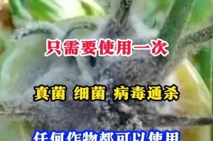 如何有效去除茶渍？（掌握正确方法，轻松解决茶渍困扰）