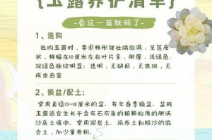 夏天的养花秘籍——草雨露夏季养护指南（夏日炙烤，给草雨露最细致的呵护）