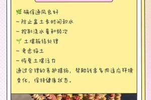 如何处理因为钱串子叶子皱了的困扰（有效方法帮助您恢复叶子健康并保持美观）