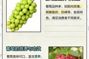 葡萄树的生长周期及（从种植到收成，一年四季的葡萄树生长全解析）