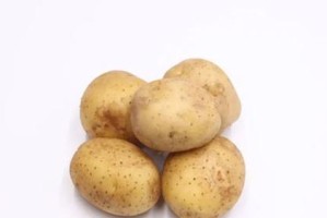 芹菜耐寒性及其低温适应机制（研究芹菜耐受低温的生理生化特性，探索其抗寒机制）