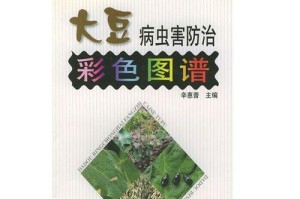 白芸豆种植方法详解（时机不可错过，五月种植最佳）