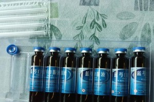 探秘神奇的蓝芩植物（了解蓝芩的起源、特点及药用价值）